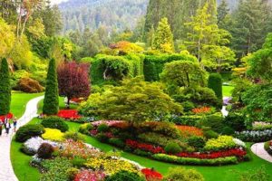 Cosmetizare-si-Peisagistica-Spatii-Verzi-Administrator-Bloc-Timisoara